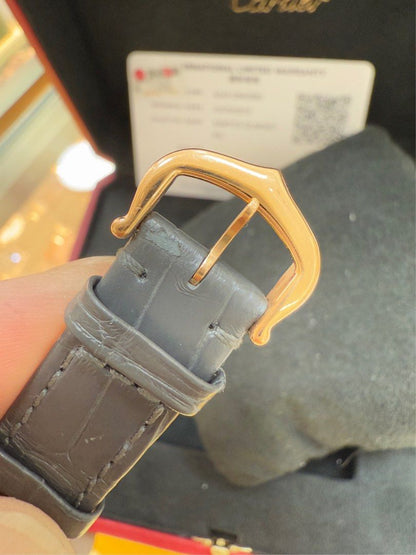 Cartier WGSA0022