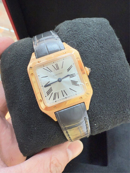 Cartier WGSA0022