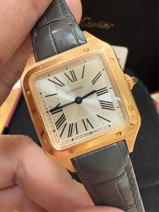 Cartier WGSA0022