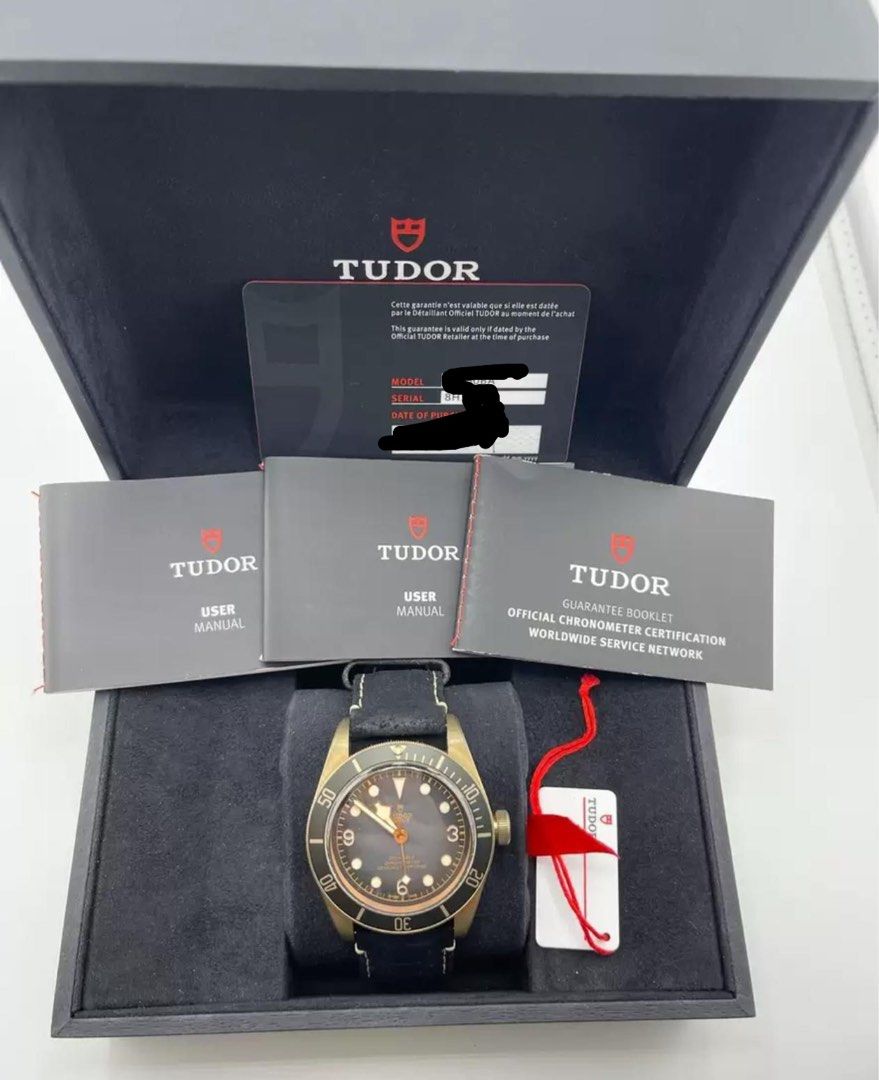 Tudor 帝陀 79250ba 銅錶 Bronze